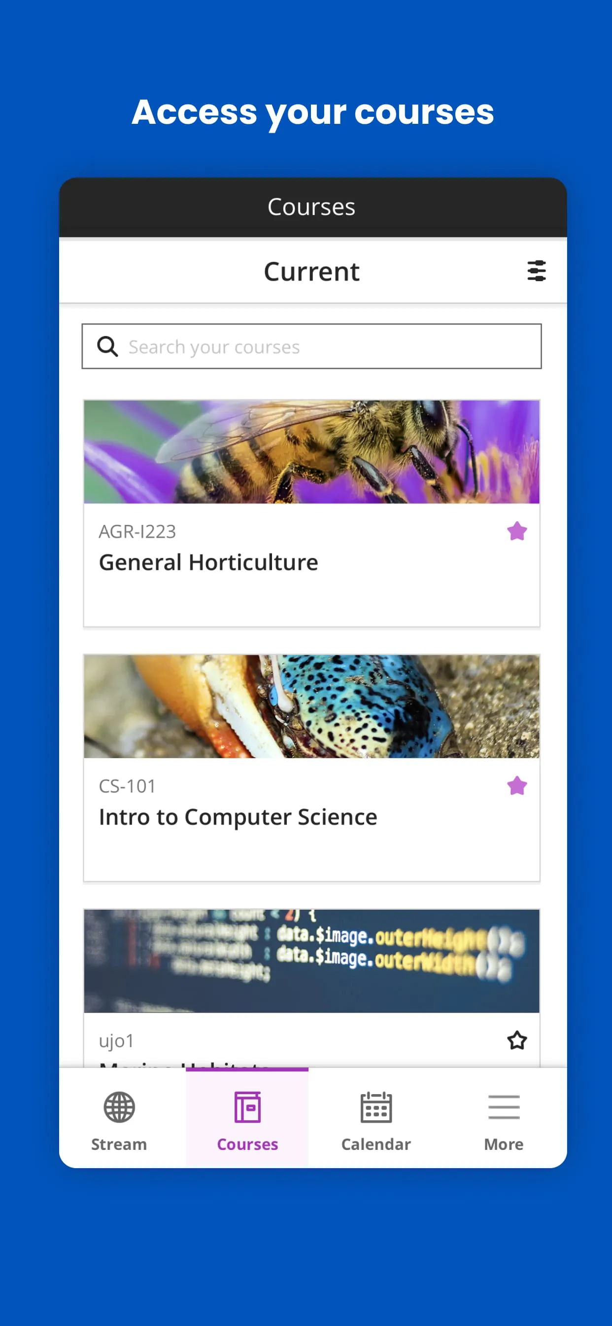 Blackboard
