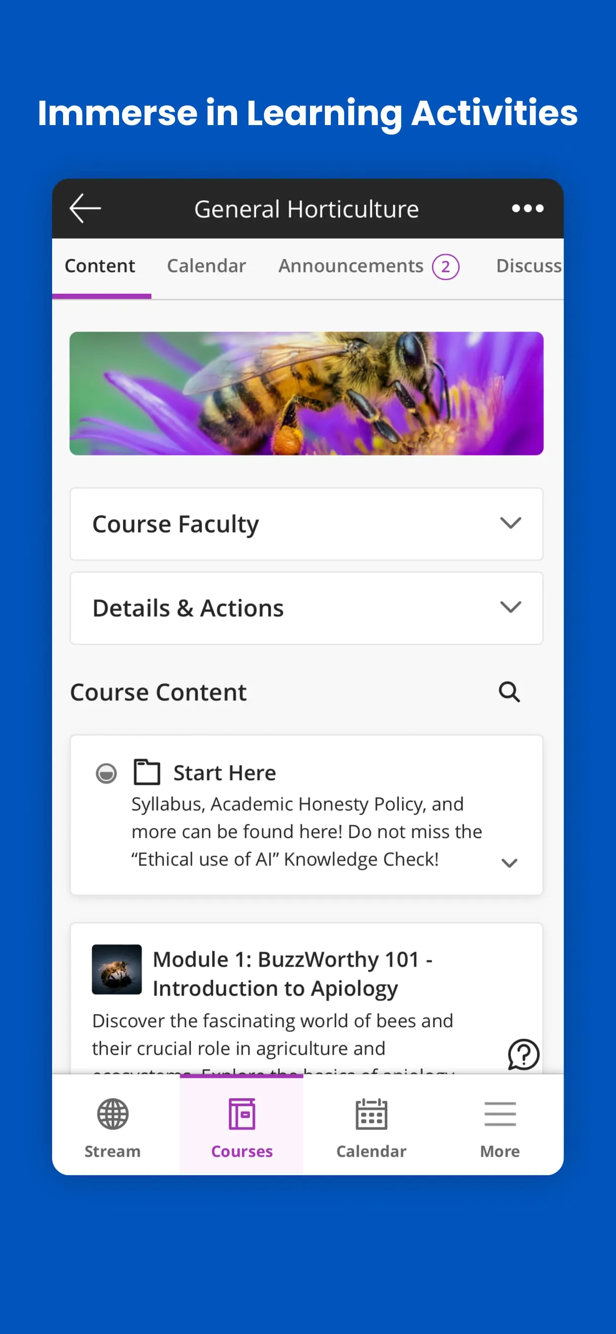 Blackboard