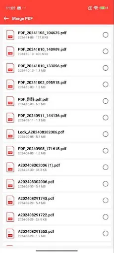 FLY PDF