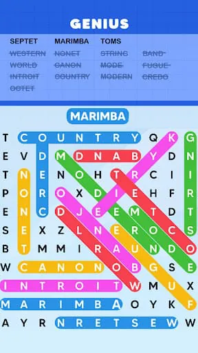 Word Search Puzzle Challenge